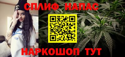 эйфоретик Тара